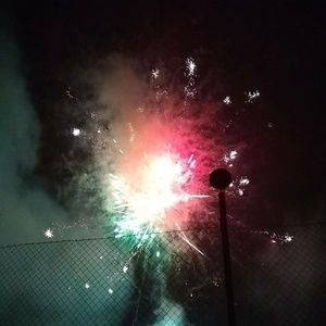 Meet your Posher, Dennis